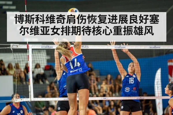 volleyball match